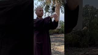 Do This Movement Daily to RELAX and STRENGTHEN Your Wrists, Palms | Qigong Massage Daily #short