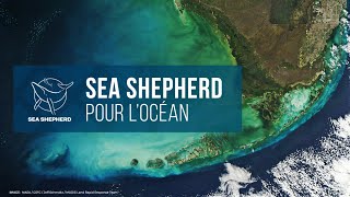 Sea Shepherd : Pour l'océan