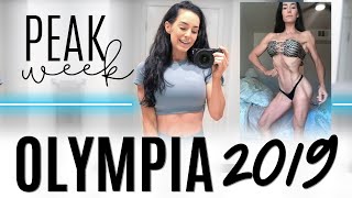 Lean Shoulders | Workout Circuit | Vegas Olympia 2019 Vlog | Undeniable S3 EP. 19