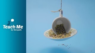 Tea Cup Bird Feeder