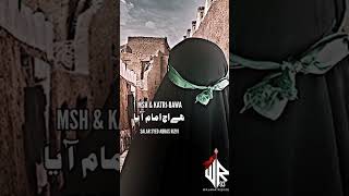 MSH Chicago & Katri Bawa | Matamdari #yahussain #karbalastatus #karbala2022