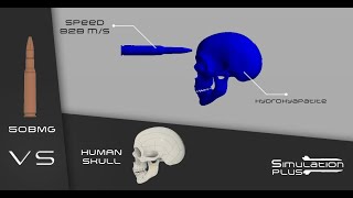 50BMG Vs Human Skull | Simulation