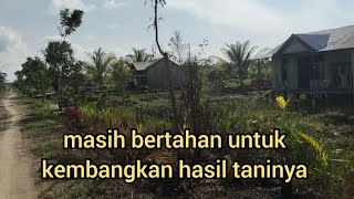 pak sarono yg masih bertahan di transmigrasi tanjung buka