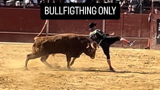 🔝VALL D’UXO BULLFIGHTING ONLY 2024. MUCHOS SUSTOS Y GOLPES