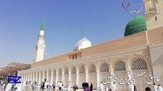 Owais Raza Qadri - Best Whatsapp Naat status - Dar e Nabi pr - Top trending 2019 - Fb instagram.