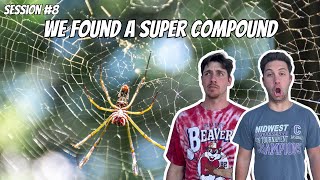 Session #8 - We Found a Super Compound