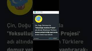 Doğu Türkistan'da Ramazan Ayı Nasıl Geçiyor?