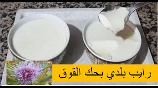 طريقة تحضير جبن او رايب بلدي بالحك (نوارة الخرشوف البلدي) 👍👍   Jben beldi