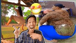 The new viral short clips,Very funny Reaction laugh clips,Trending videos,Best viral videos