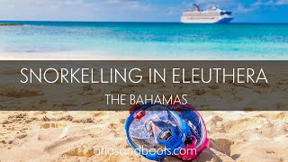 Snorkelling in Eleuthera, The Bahamas