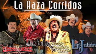 La Raza Corridos - Los Cadetes De Linares de Lupe Tijerina, Lalo Mora, Luis Y Julian, Julian Garza