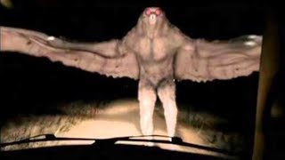 Mothman True Stories of Encounters with this Mysterious Creature