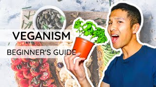 BEGINNER'S Guide To Go VEGAN (Advice for New Vegans + My "Overnight" Story)