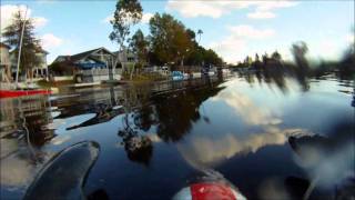 Starship GoPro30fps