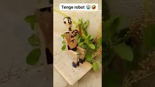 ibuild tengue robot from cardboard#innovation