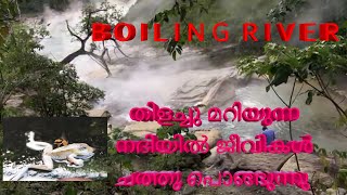 Boiling River || തിളച്ചു മറിയുന്ന നദിയിൽ ജീവികൾ ചത്തു പൊങ്ങുന്നു || 4K HD Video