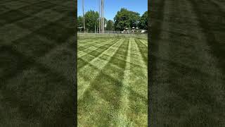 Oh my #lawnlove #lawncare #exmark #lawnlife #lawnmaintenance #lawnmowing #lawnservice #shorts