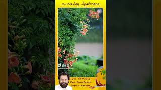 Ponchinga Chillayilaaro   Onam Songs #kjyesudas #onamsong #onam #shortsfeed #shorts #shortsvideo