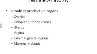 Gyn, OB, Neonate, Peds