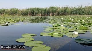 Amazing nature scenery...Danube Delta/Awesome places in the world..