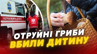 ШОКУЮЧИЙ інцидент на Тернопільщині 😱❗Сім’я ОТРУЇЛАСЯ грибами: ПОМЕРЛА ДИТИНА та чоловік