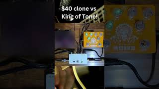 $40 clone vs King of Tone #shorts #overdrive #kingoftone #distortion #guitarplayer #effectpedals