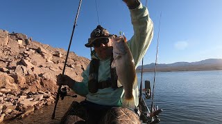 Old Town Autopilot 136: Lake Mead: Launch update, cart demo  #oldtownautopilot #lakemeadfishing