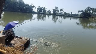 Shah beh na jaka khwai  |  Fishing | Morigoan | Assam