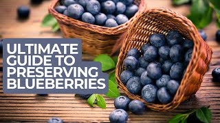 How to Preserve blueberries: Multiple methods