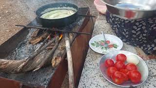 Cleaning the garden; cooking delicious eggplant food with tomatoes:Deliciou eggplant and tomato food