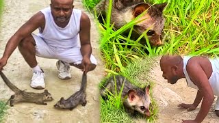 😱अजीब सा दिखने वाला जानवर मिलने से मच गया हरकंप | Civet Cat Rescue Video | Manyawar Rescue Team🤔