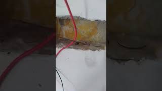 When Concealed pipe dismatch#wiring #electricalengineering