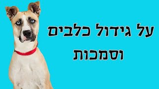 על גידול כלבים וסמכות