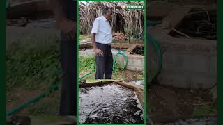 இந்த Soil கீழேயும் போகாது மேலேயும் வராது | Vertical Garden