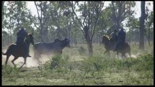 Mustering In Burdekin