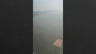 yamuna river prayagraj #yamuna #yamunariver