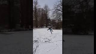 parkskate fail