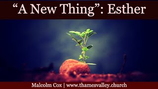 A New Thing - Bible Characters | Esther | Malcolm Cox