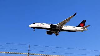 planes landing pearson airport #planes #planespotting #avgeek #viral #shorts #yyz