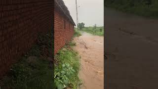 Road into river at village | #shorts