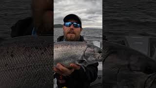 Netting King and Coho Salmon Solo Trolling!