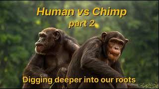 Human vs Chimp, part 2: Digging deeper into our roots