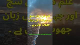 حضرت امام علیؑ کے فرمان ہمارے لیے مشعل راہ ہیں۔ #shorts #quotes #hazratali #hazrataliquotes #status