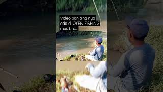 Mancing Bader Sirip Kuning Pakai Tehnik Pecut#shorts