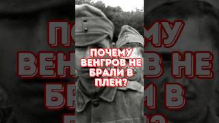 Вот почему венгров не брали в плен в Великую Отечественную #история #война #армия