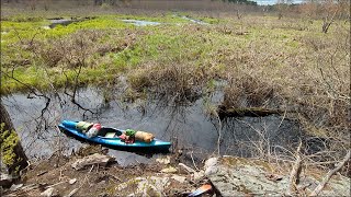 Devil's Foot Island Solo Kayak Camping, Millis, Massachusetts