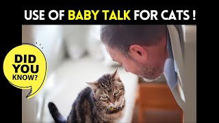 Do Cats Respond to Baby Talk? | Practical Tips for Talking to Your Cat | Use of Baby Talk for Cats