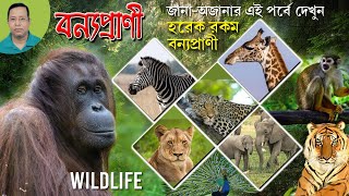 WILDLIFE I হরেক রকম বন্যপ্রাণী