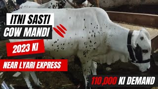 Sassti Tareen Cow Mandi Near Lyari Express 2023