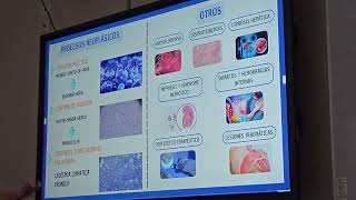 Marcadores de Inflamación e Infección y Líquidos corporales I exposiciones - Clases 2 -Tercer Aporte